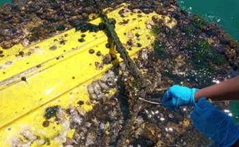 A Project Transforms Port Waste into Sustainable Solutions to Protect Vessels