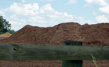 New Moisture-Driven Generator Harvests Electricity Using Waste Biomass