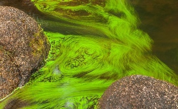 Your Shampoo Routine Could Be Driving Household Water Waste, According to New Study