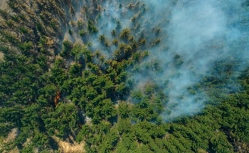 Wildfires Cause Decline in Solar Power Output, Study Finds