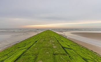 Compact Electrode System Advances Ocean Carbon Capture