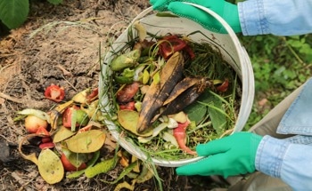Organic Waste Management Reveals Methane Reduction Opportunities in Uganda