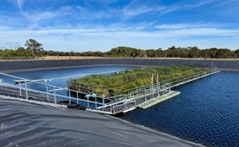Floating Wetlands Slash Wastewater Greenhouse Gas Emissions: Study