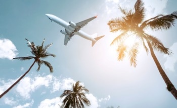 Coconut Oil Biofuels Tested as Sustainable Aviation Fuel Alternatives