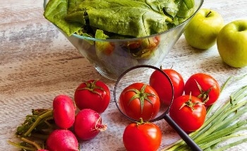 World Off-Track on Nearly Every Food System Goal – Latest Assessment Reveals