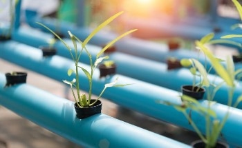 Improving Midwestern Crop Yields Through Enhanced Fertilizer Efficiency Research Projects