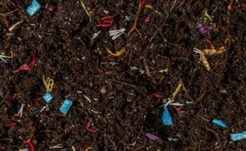 Carbon Nanomaterials Accelerate Polyethylene Biodegradation in Soil