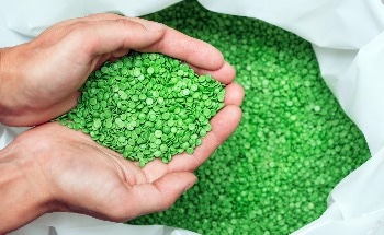 Evaluating Environmental Hazards of Aged Biodegradable Plastics in Aquatic Life