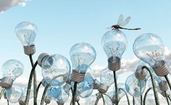 Empirical Analysis Disproves Inherent Environmental Benefits of Digital Transformation