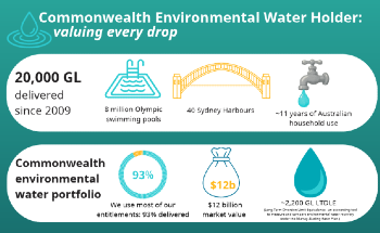 20,000 Gigaliters and Counting: A Milestone for Healthier Basin Rivers, Wetlands and Communities