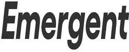 Emergent Energy Systems Ltd.
